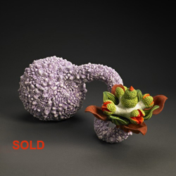 Aurlia gothroii Barnacles