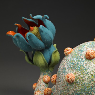 Aurlia gouthroii Blastula detail