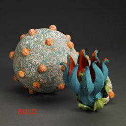 Aurlia gouthroii Blastula