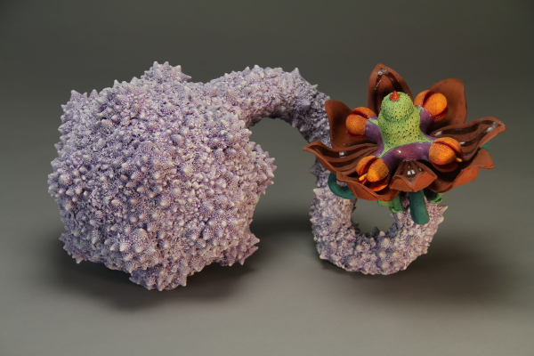 Aurlia gouthroii Raphanus