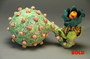 Aurlia gouthroii Blastula 2