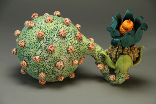 Aurlia gouthroii Blastula