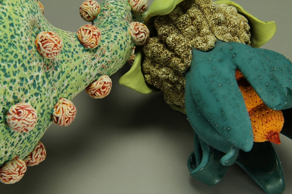 Aurlia gouthroii Blastula 2 detail