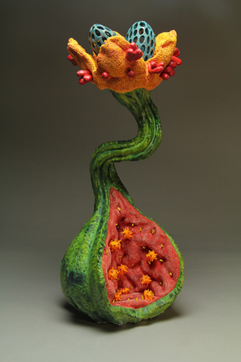 Aurlia gouthroii Unknown