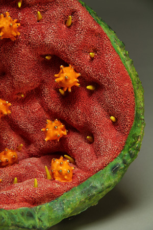 Aurlia gouthroii Erodium detail