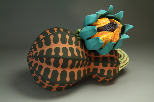 Aurlia gouthroii Resupinus