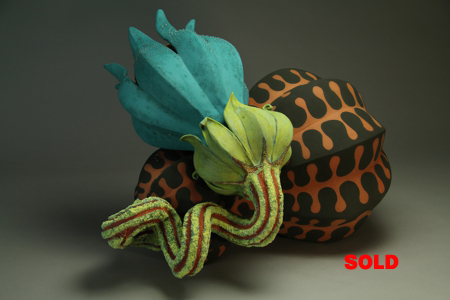 Aurlia gouthroii Resupinus