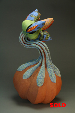 Aurlia gouthroii Erodium