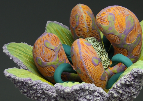 Aurlia gouthroii Undulate detail