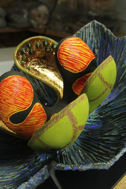 Aurlia gouthroii Barnacles detail