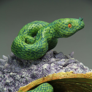 Aurlia gouthroii Multifidus detail